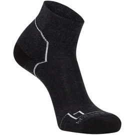 Icebreaker Hike+ Light Mini Wandersocken grau 48-50