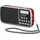 TechniSat TECHNIRADIO RDR rot