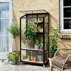 City Greenhouse aus Sicherheitsglas mit Rollen - Juliana