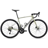 Giant Defy Advanced 2 105 2024 Rennrad