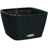 LECHUZA Bacino Cottage Komplettset 30 x 30 x 18 cm graphitschwarz