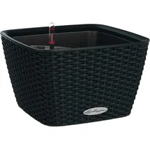 LECHUZA Bacino Cottage Komplettset 30 x 30 x 18 cm graphitschwarz