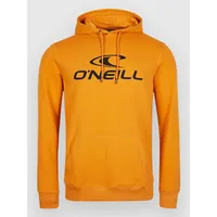 O'Neill Hoodie nugget XS