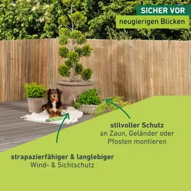 WINDHAGER Sichtschutzzaunmatten Mitake 150 x 300 cm natur