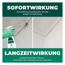 Silberkraft Spinnenspray Insektenvernichter 500 ml