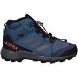 Adidas Terrex Mid Goretex Wanderschuhe - Wonste / Grethr / Impora - EU 35