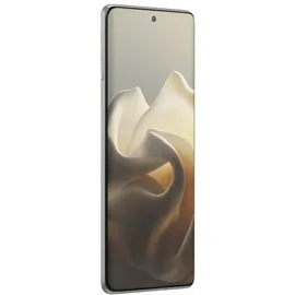Motorola Edge 60 Pro 8 GB RAM 256 GB PANTONE Shadow