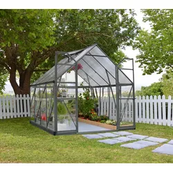 Palram - Canopia Aluminium Gewächshaus Balance 812 | Anthrazit | 367x244x229 cm