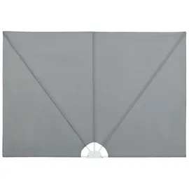 vidaXL Seitenmarkise 240 x 160 cm Grau Polyester