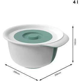 Rotho Rührschüssel Fresh 4 l mit Zusatzbehälter 1,2 l mistletoe grün