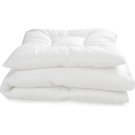 Julius Zöllner Basic,