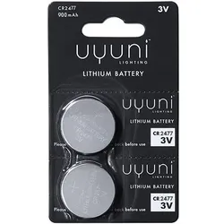 CR2477 Batterie Knopfzelle 2er Pack