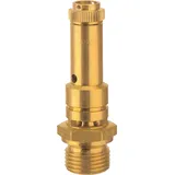 Riegler Sicherheitsventil DN 8 Messing G 1/4 Ansprechdruck 2,5 bar