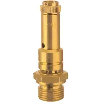 Riegler Sicherheitsventil DN 8 Messing G 1/4 Ansprechdruck 2,5 bar