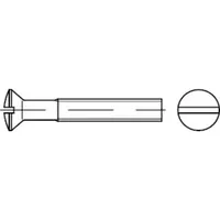 Industrial Quality Supplies DIN 964 Linsensenkschraube mit Schlitz, Edelstahl