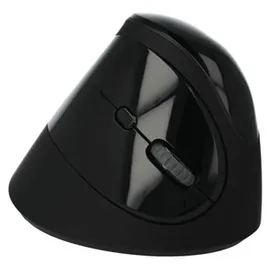 DeLock Vertikale Maus schwarz