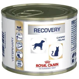 Royal Canin Recovery Canine & Feline 24 x 195 g