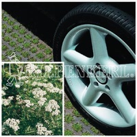 Kiepenkerl RSM 5.1.1 Parkplatzrasen mit 2 Achillea 10 kg