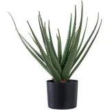 tinkaro Aloe, Grün, Kunststoff, 51 cm, Dekoration, Blumen & Zubehör, Kunstpflanzen