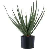tinkaro Aloe, Grün, Kunststoff, 51 cm, Dekoration, Blumen & Zubehör, Kunstpflanzen