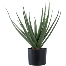 tinkaro Aloe, Grün, Kunststoff, 51 cm, Dekoration, Blumen & Zubehör, Kunstpflanzen