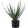 tinkaro Aloe, Grün, Kunststoff, 51 cm, Dekoration, Blumen & Zubehör, Kunstpflanzen