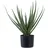 tinkaro Aloe, Grün, Kunststoff, 51 cm, Dekoration, Blumen & Zubehör, Kunstpflanzen