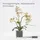 Homescapes - Künstliche Weiße Phalaenopsis-orchidee im Glas-Topf, 42 cm