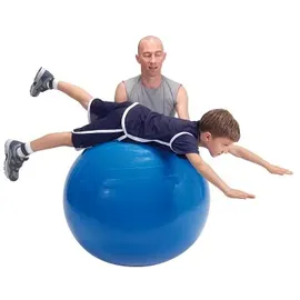 Ledraplastic Gymnic Gymnastikball Classic 65 cm