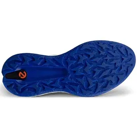 ECCO Golfschuhe Herren Golf Biom H5, weiss/blau