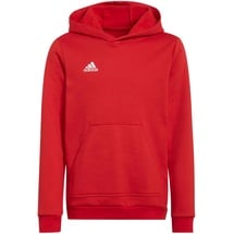 Adidas Entrada 22 Hoodie Kinder tepore 116