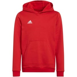 Adidas Entrada 22 Hoodie Kinder tepore 116