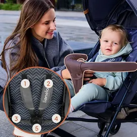 lionelo Elia graphite