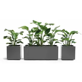 Euro3Plast Greener Kebe 100 x 40 x 40 cm Anthrazit