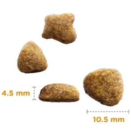 Iams Adult Katzenfutter mit Meeresfisch 10 kg