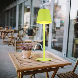 GLOBO Tischleuchte Grün