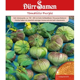Dürr Samen Tomatillo Purple Saatgut