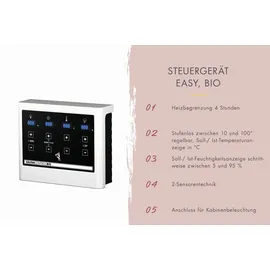 Karibu Quadro 1 inkl. 9 kW Bio-Kombiofen + ext. Steuerung