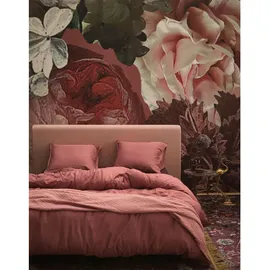 Essenza Minte dusty rose 155 x 220 cm + 80 x 80 cm