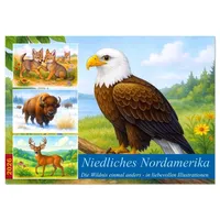 Calvendo Niedliches Nordamerika (Tischkalender 2026 DIN A5 quer), CALVENDO