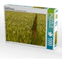 Calvendo Ein Motiv aus dem Kalender Kalender für Rentner