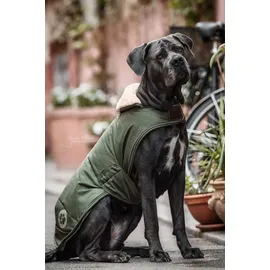 Kentucky 300g grün XL