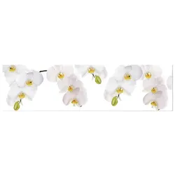 mySPOTTI Küchenrückwand »Orchidee weiß«, Aluverbund, Orchidee