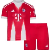 adidas FC Bayern München Trainingsanzug 2025/26 rot Kinder Gr. 74