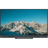 Metz 32MTD4001 32" LED Full HD Google TV
