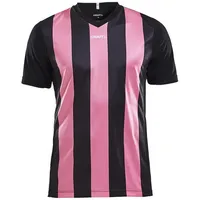 Craft Progress Stripe M - Rosa