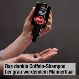 Alpecin Grey Attack Coffein & Color 200 ml