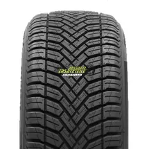 Delinte 205/55 VR16 91V AW6