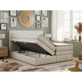 MKS Meble Boxspringbett mit Bettkasten - - Maße (cm): B: 160 H: 110