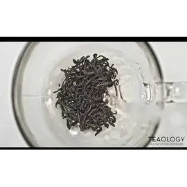 Teaology Kombucha Tea Gesichtscreme 50 ml